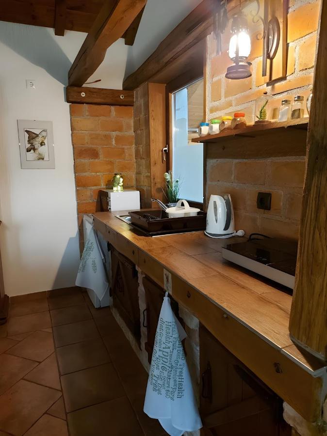 Studio Apartman Buteo Jastrebarsko Exteriör bild